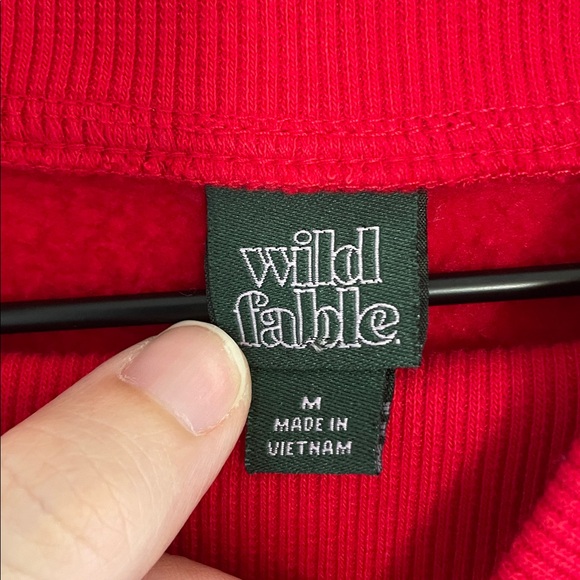 WILD FABLE Apres Ski Club Embroidered Graphic Boxy Pullover Sweatshirt Size M - Picture 6 of 7